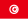 Icon representation of the flag of Tunisia.