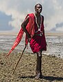 * Nomination Maasai Warrior, Magadi, Kenya by Ninaras --Aboubacarkhoraa 20:23, 28 November 2024 (UTC) * Decline  Oppose Great scene, but unfortunately blurry. --Plozessor 05:37, 30 November 2024 (UTC)