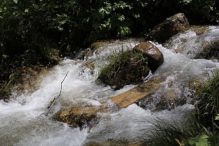 102. Zaamin National Park author - Humoyun Mehridinov