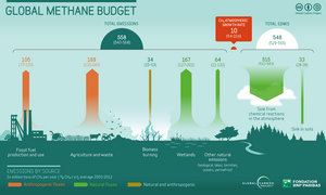 MethaneInfographicGlobalCarbonProject2016ccBySa.png