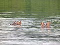 Cahora Bassa, Mozambique