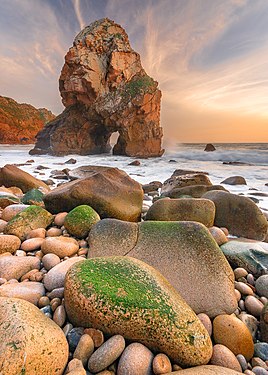 Malhada do Louriçal, Sintra-Cascais Natural Park, Lisbon District Photograph: Luís Afonso