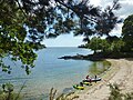 Plage donnant sur l'Anse Saint-Laurent