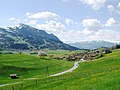 Emmereis im Hochtal nördlich des Grüntens