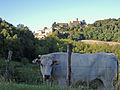 Castle's panorama