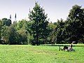 Hasenheide Berlin mit Minaretten der Şehitlik-Moschee im Hintergrund, 09/2007