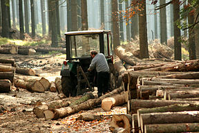 Logging