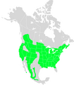 Sitta carolinensis range map