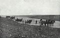 Ploughing in Manitoba