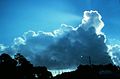 Cumulus congestus covering the sun