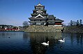 Matsumoto Castle / 松本城 (National Treasure)