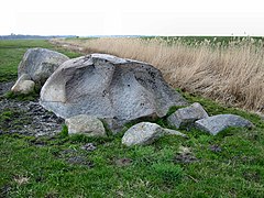 Findling Möwenstein bei Tankow auf Ummanz