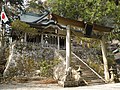 Tamaki Jinja / 玉置神社 (World Heritage Site)