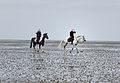 * Nomination Female riders during mudflat walking times near Sahlenburg --Tuxyso 17:01, 15 July 2013 (UTC) * Promotion Nice. --Vassil 17:17, 15 July 2013 (UTC)