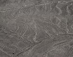 Nazca Lines (Monkey), Peru