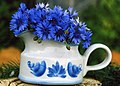 Bouquet of cornflowers