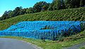 English: Vineyards in the south Deutsch: Weinberge im Süden