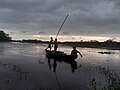 * Nomination Madaripur district, Bangladesh --Wasiul Bahar 18:28, 27 July 2024 (UTC) * Decline Poorly lit and overly processed. Halos around the heads of the occupants in the boat,. --Needsmoreritalin 04:36, 28 July 2024 (UTC)