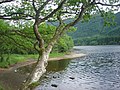 the Trossachs