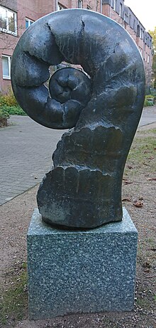 DWB, Farntrieb (1).jpg