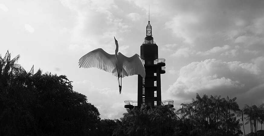 The photograph was taken during a research stay in Belem de Para (Brazil) aimed at studying the places in which the relationships between human beings and the environment takes place in Amazonia. Photo by Jäkel.Andrés