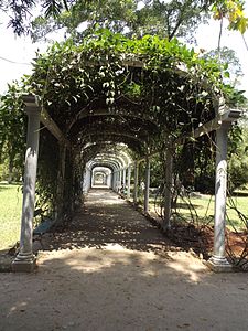 Pergola, Jardim Botânico