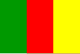 Flag of Cameroon