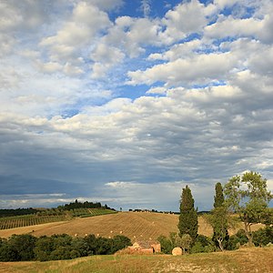 Tuscan Landscape