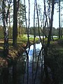 The Pniowiec river and the Stary Zalew