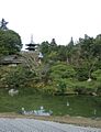 Jardin et pagode Ninna-ji - Kyōto