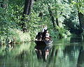 Ein Kahn im Spreewald