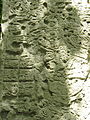 Yaxha stela 2