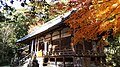 Katsurakiniimasuhonoikazuchi-jinja / 葛木坐火雷神社