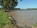 Lake Albert full