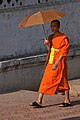 Young Monk in Luang Prabang, Laos