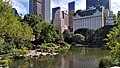 The Pond, looking South