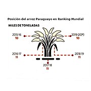 Ranking-mundial-de-exportacion-de-arroz-agroganadera-santiago-s-a.jpg