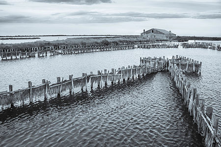 Casone Serilla, a former fishing station Photograph: Vanni Lazzari Licensing: CC-BY-SA-4.0 Jury: Happy synthesis of narrative skills and formal composition. The black and white that he could be an easy way out instead, it metaphorically recover the aesthetics of an ancient culture.