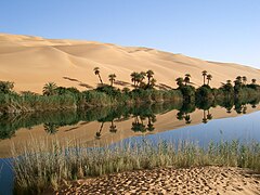 Oasis, Libya