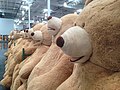 "Costco_Bear_Lineup.jpg" by User:Natureium