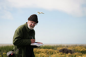 Estonian ornithologist Kalev Rattiste taking notes on Kakrarahu islet, by Johanna Adojaan