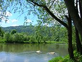 the Poprad river in Slovakia