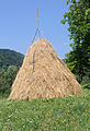 English: Haystack in Braşov County, Romania.