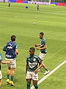 Palmeiras-bragantino-fev2023-07.jpg