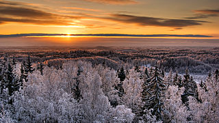 Karula National Park, view from Rebasemõisa tower