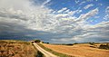 * Nomination Tuscan Landscape --Martin Falbisoner 15:39, 15 July 2013 (UTC) * Promotion Good quality. --Smial 12:12, 17 July 2013 (UTC)