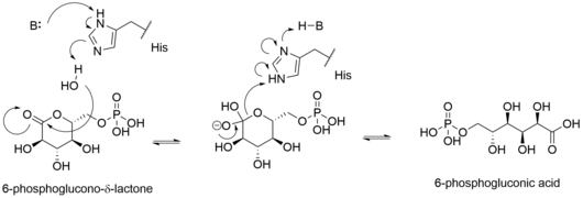 6PGL Mechanism.png