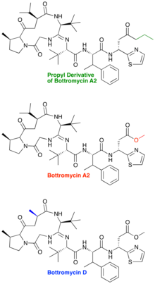 Bottromycin derivatives.png