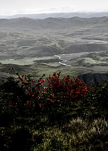 Chile 2015-11-14 (23671352799).jpg