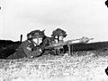 Canadian soldiers using a PIAT